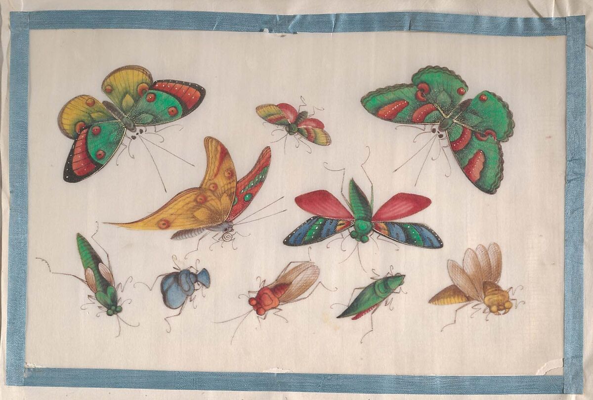 Album Containing Twelve Paintings of Insects, Unidentified artist, Album of twelve leaves; color on pith paper, China