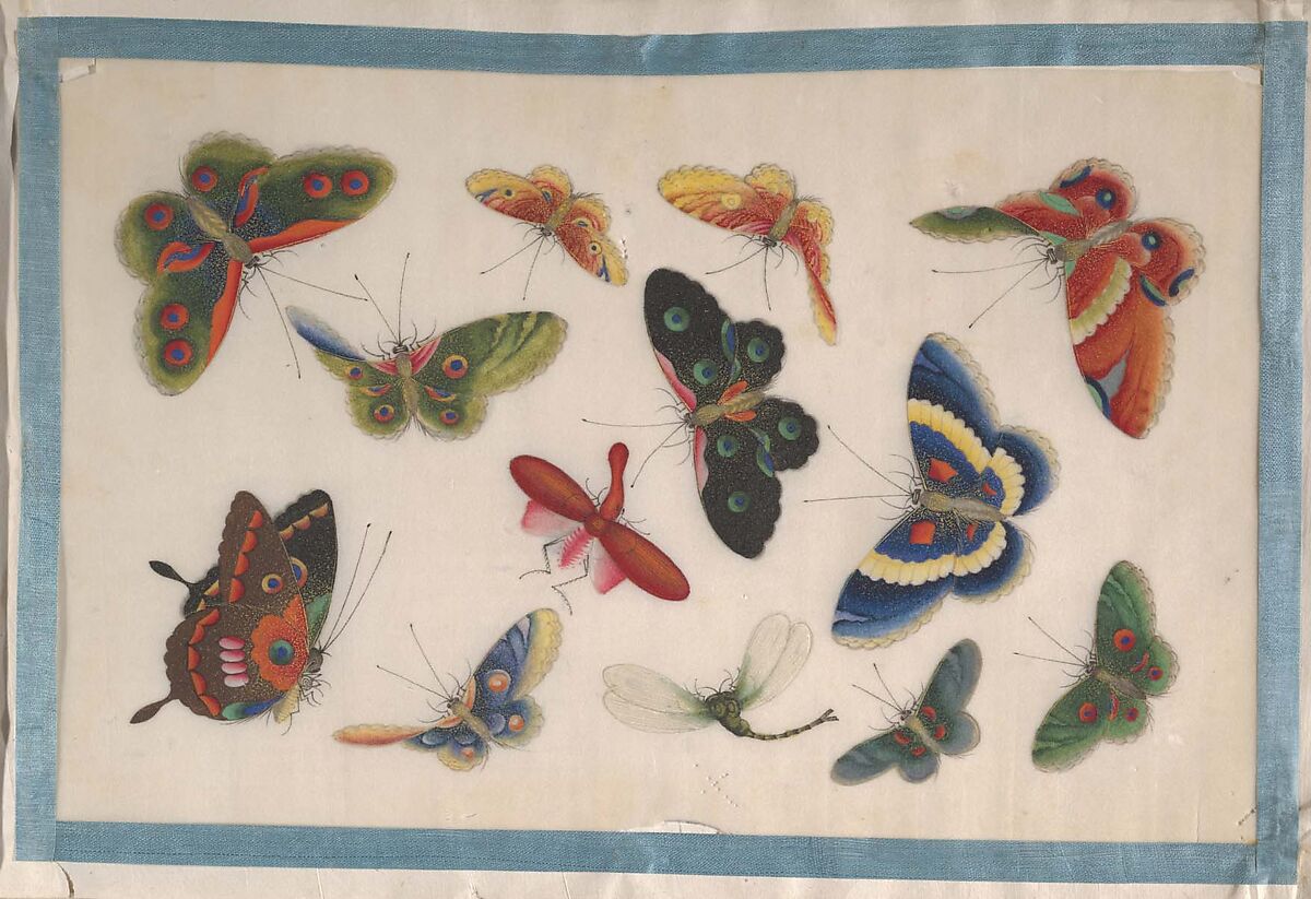 Album Containing Twelve Paintings of Insects, Unidentified artist, Album of twelve leaves; color on pith paper, China