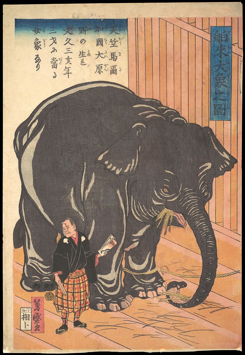 View of the Large Imported Elephant, Taguchi (Utagawa) Yoshimori (1830–1884), Woodblock print; ink and color on paper, Japan 