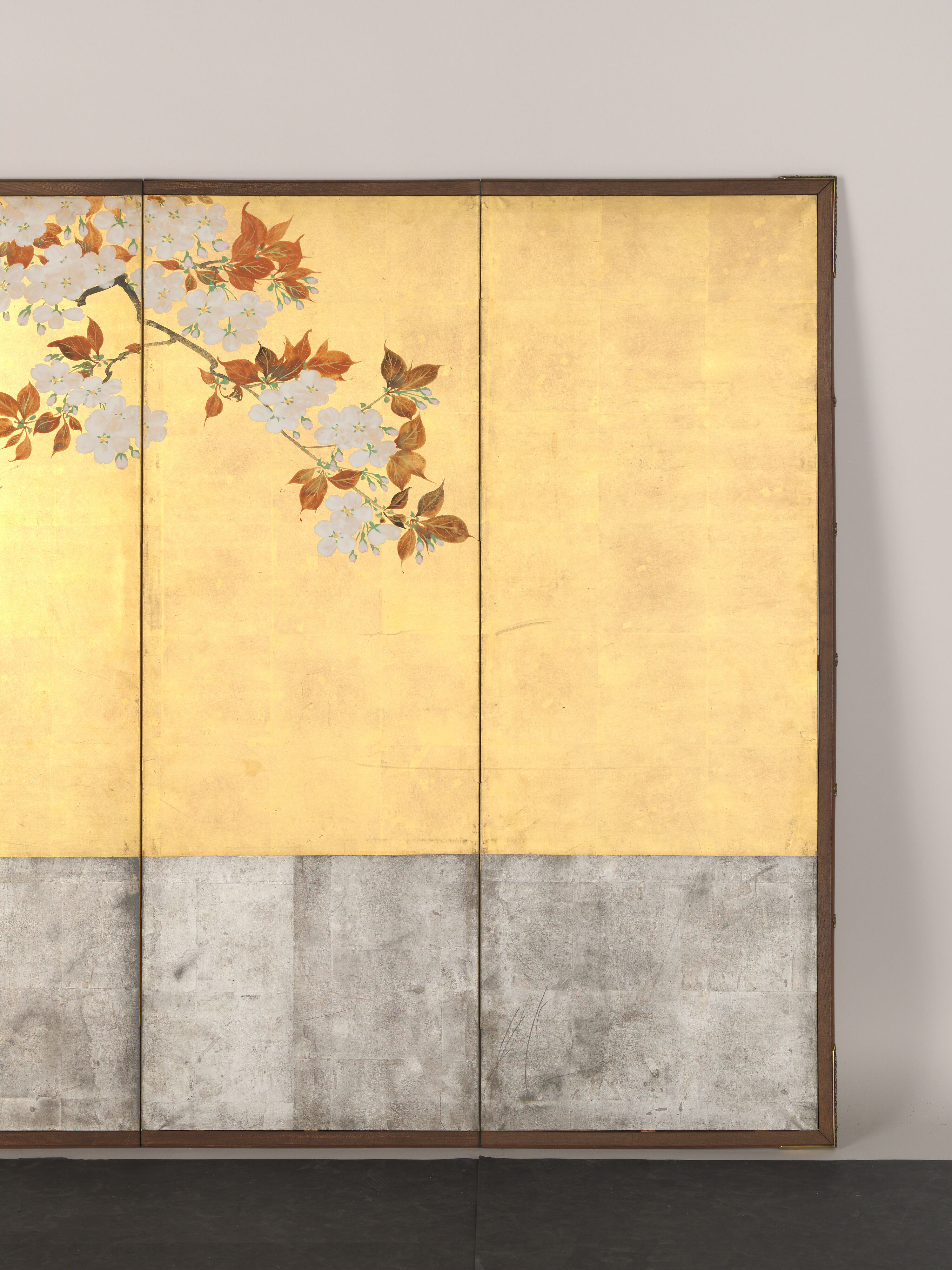 Sakai Hōitsu - Blossoming Cherry Trees - Japan - Edo period (1615