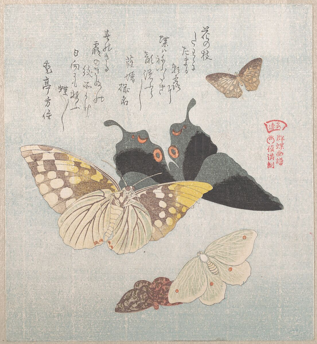 Various moths and butterflies, Kubo Shunman (Japanese, 1757–1820), Woodblock print (surimono); ink and color on paper, Japan 