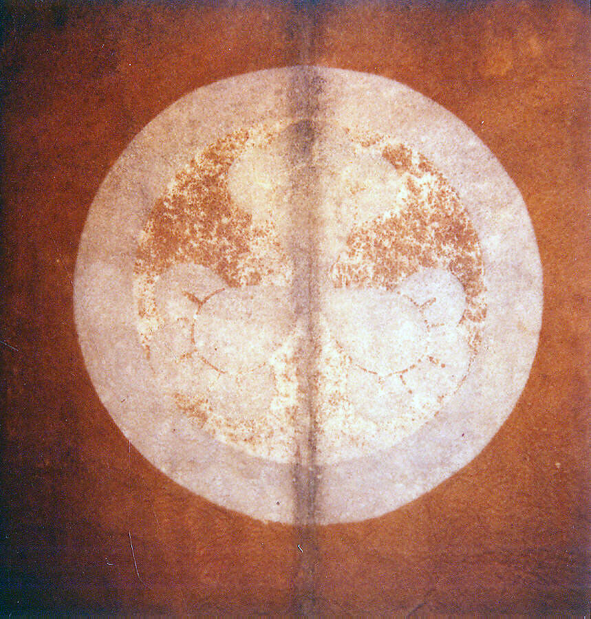 Leather Coat (Kawabaori) with Pattern of Large Shrimp, Leather, silk, Japan