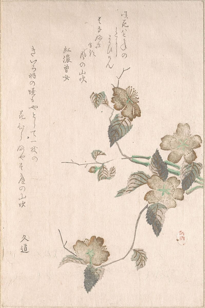 Yamabuki Flowers (kerria japonica), Unidentified artist, Woodblock print (surimono); ink and color on paper, Japan 