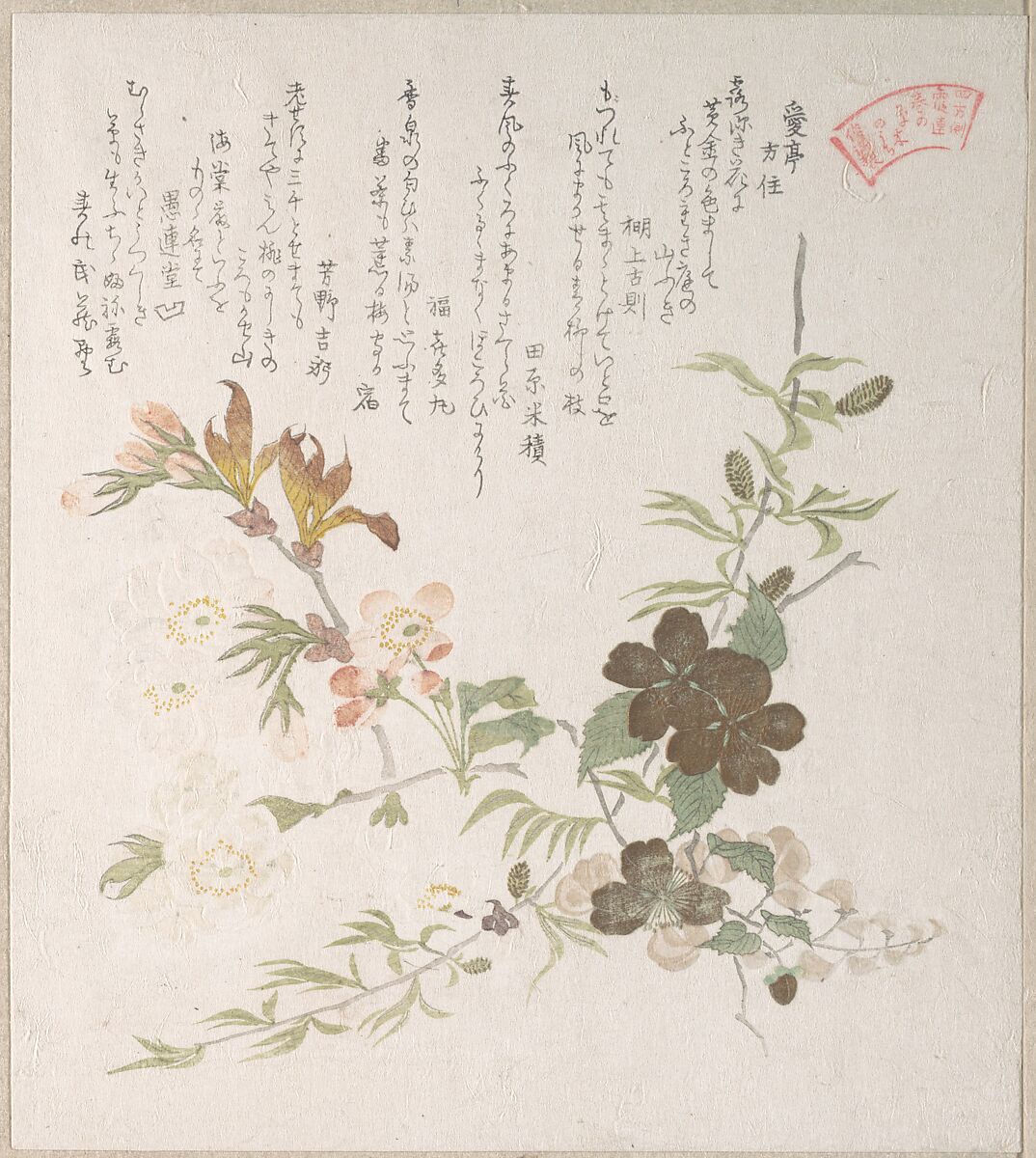 Cherry Blossoms and Yamabuki Flowers, Kubo Shunman (Japanese, 1757–1820), Part of an album of woodblock prints (surimono); ink and color on paper, Japan 