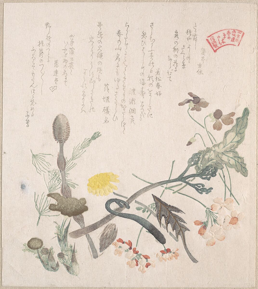 Violets, Primroses and Other Spring Flowers, Kubo Shunman (Japanese, 1757–1820), Part of an album of woodblock prints (surimono); ink and color on paper, Japan 