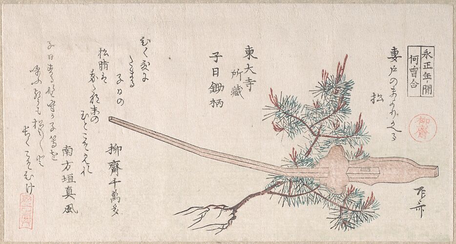 Young Pine Tree and the Handle of a Plow