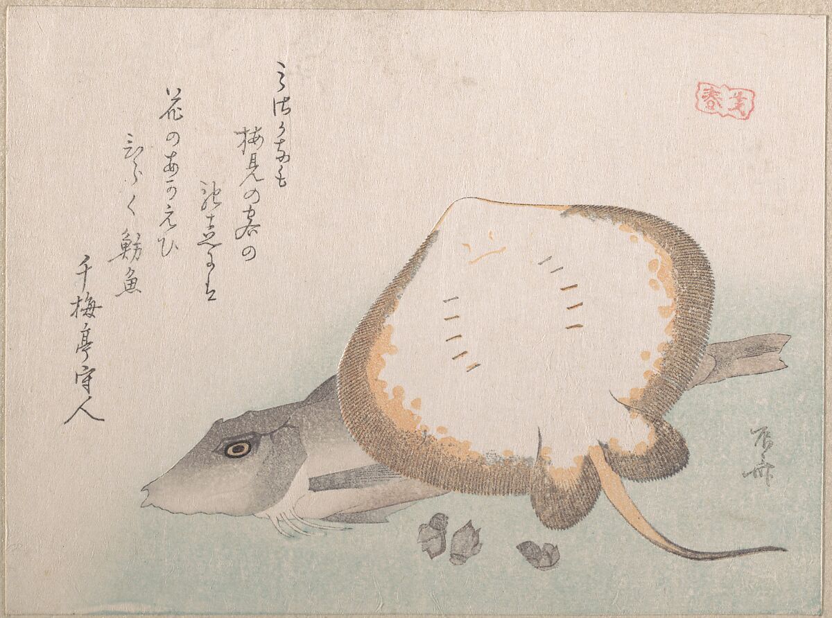 Stingray and Gurnard, Ryūryūkyo Shinsai (Japanese, active ca. 1799–1823), Part of an album of woodblock prints (surimono); ink and color on paper, Japan 