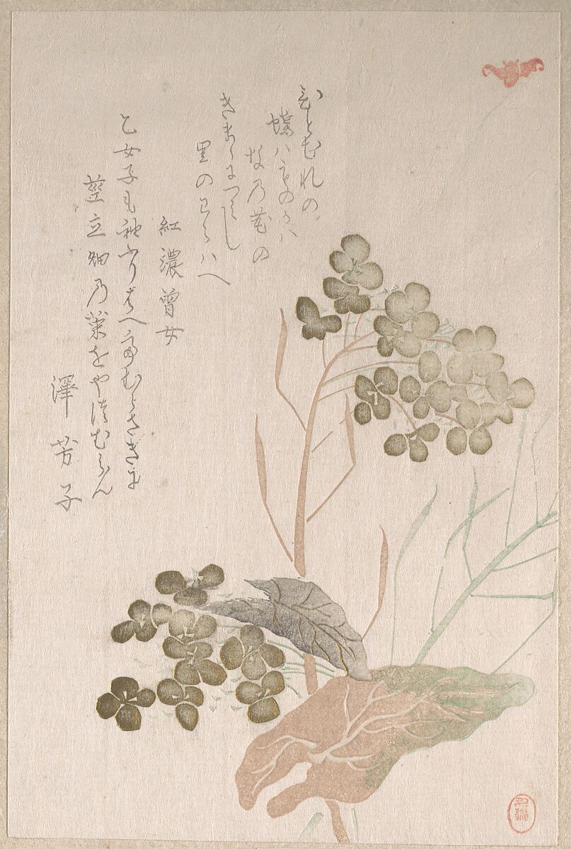 Natane Flower, Unidentified artist, Part of an album of woodblock prints (surimono); ink and color on paper, Japan 