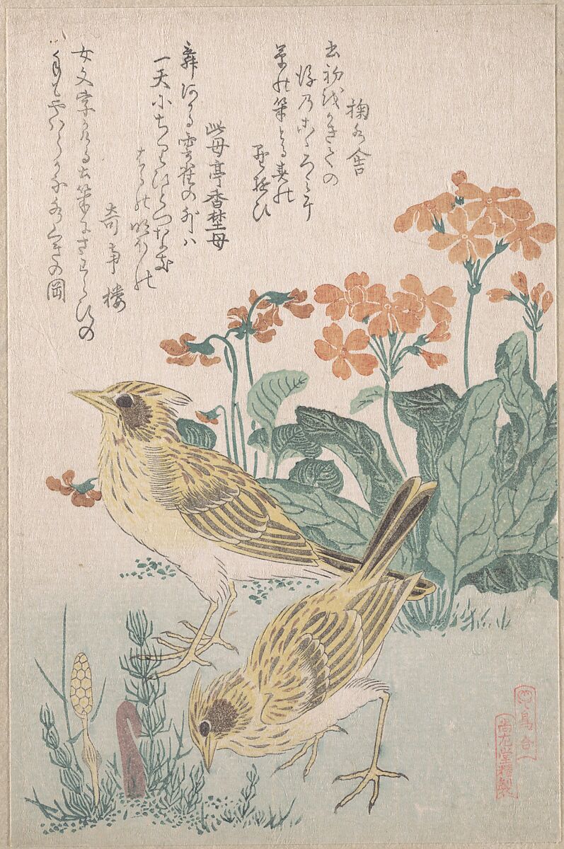 Skylarks and Primroses,” from the Series An Array of Birds (Tori awase), from Spring Rain Surimono Album (Harusame surimono-jō, vol. 3), Kubo Shunman (Japanese, 1757–1820), Privately published woodblock prints (surimono) mounted in an album; ink and color on paper, Japan 