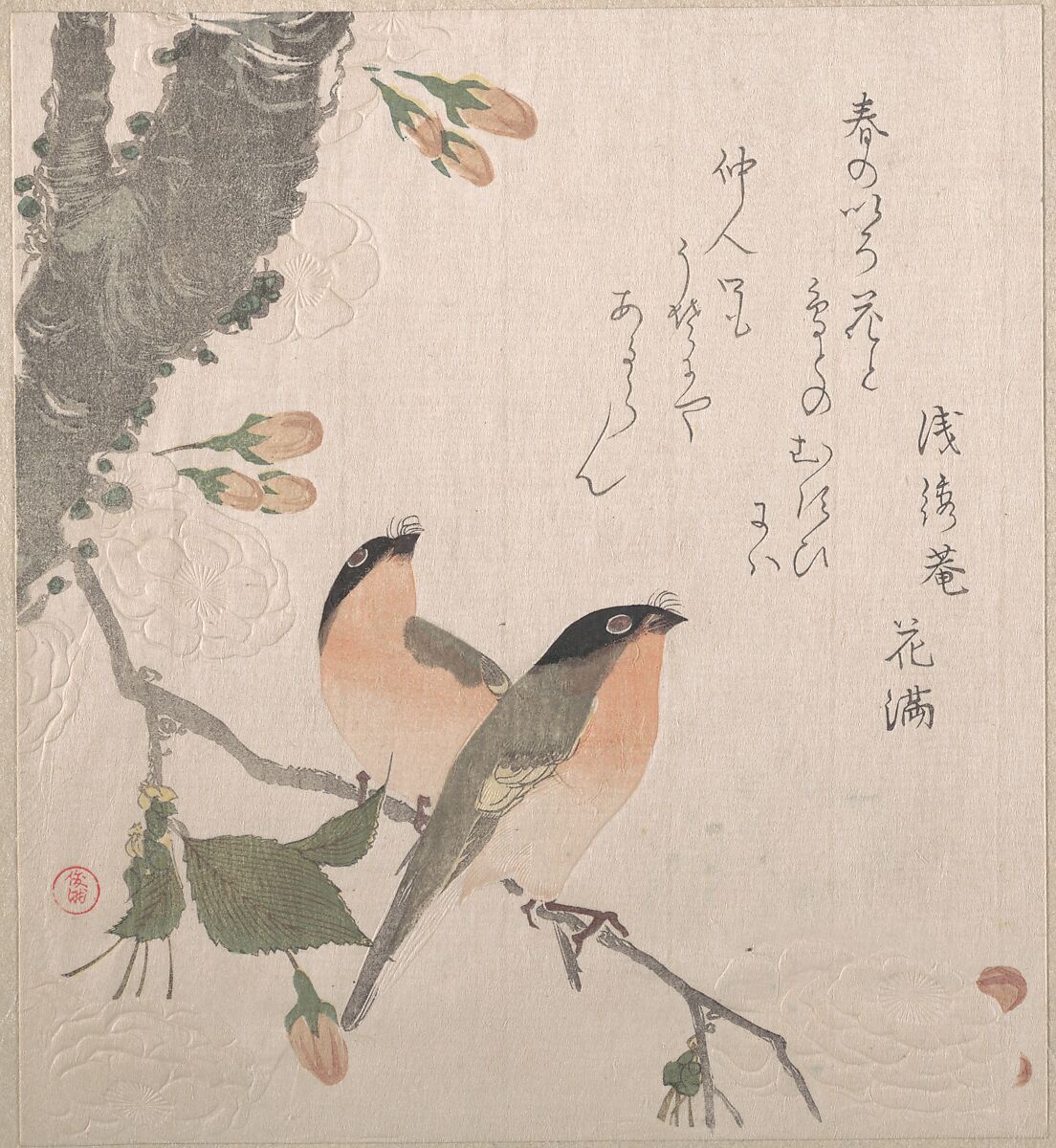 Bullfinches and Cherry Blossoms, Kubo Shunman (Japanese, 1757–1820) (?), Part of an album of woodblock prints (surimono); ink and color on paper, Japan 
