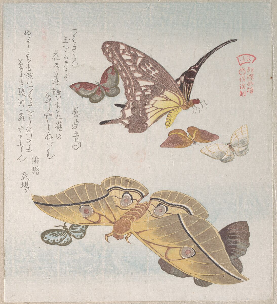 Various Moths and Butterflies, Kubo Shunman (Japanese, 1757–1820), Part of an album of woodblock prints (surimono); ink and color on paper, Japan 
