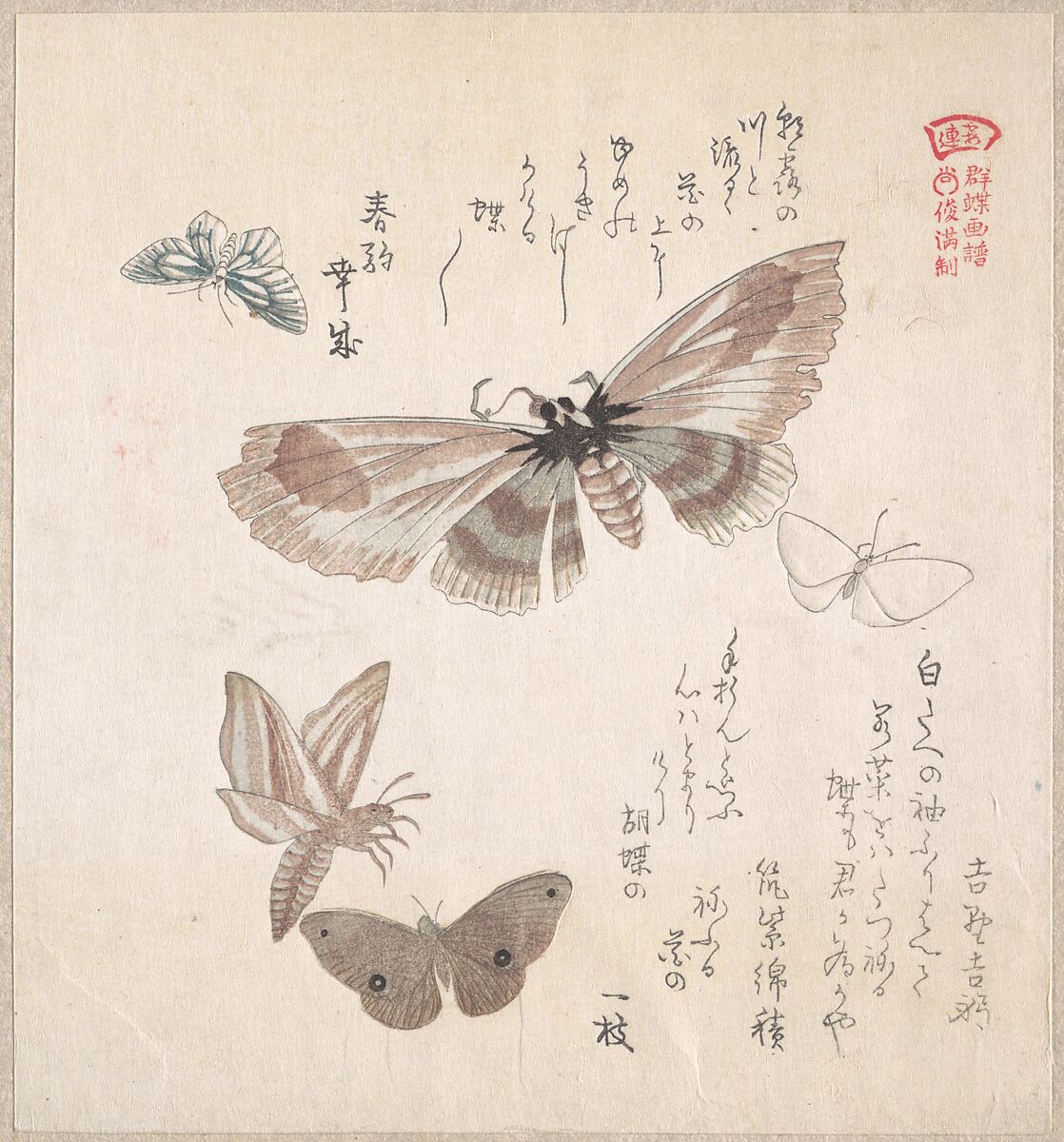 Various Moths and Butterflies, Kubo Shunman (Japanese, 1757–1820), Part of an album of woodblock prints (surimono); ink and color on paper, Japan 