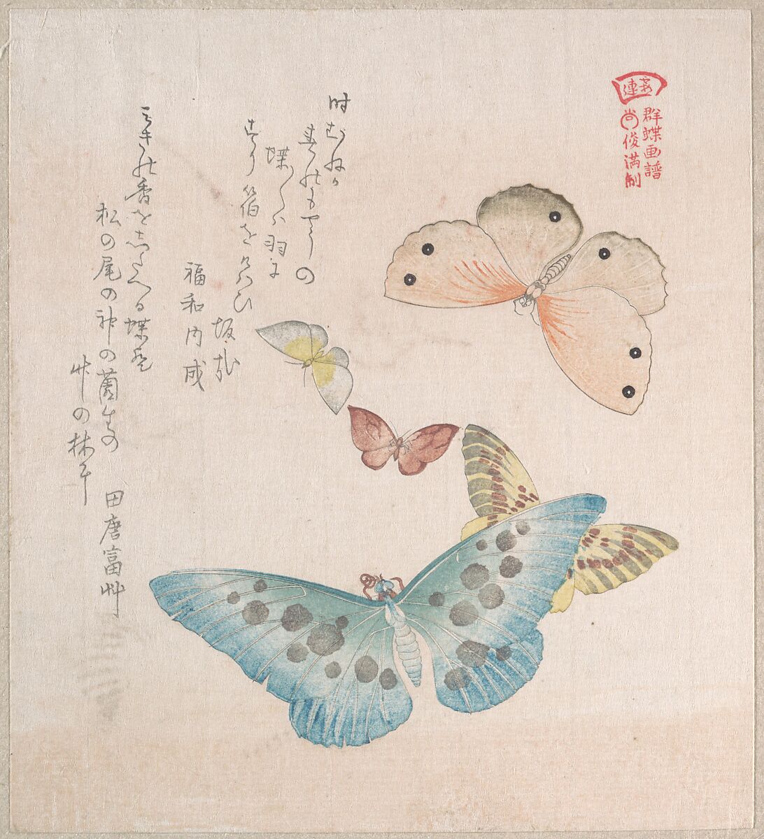 Various Moths and Butterflies, Kubo Shunman (Japanese, 1757–1820), Part of an album of woodblock prints (surimono); ink and color on paper, Japan 
