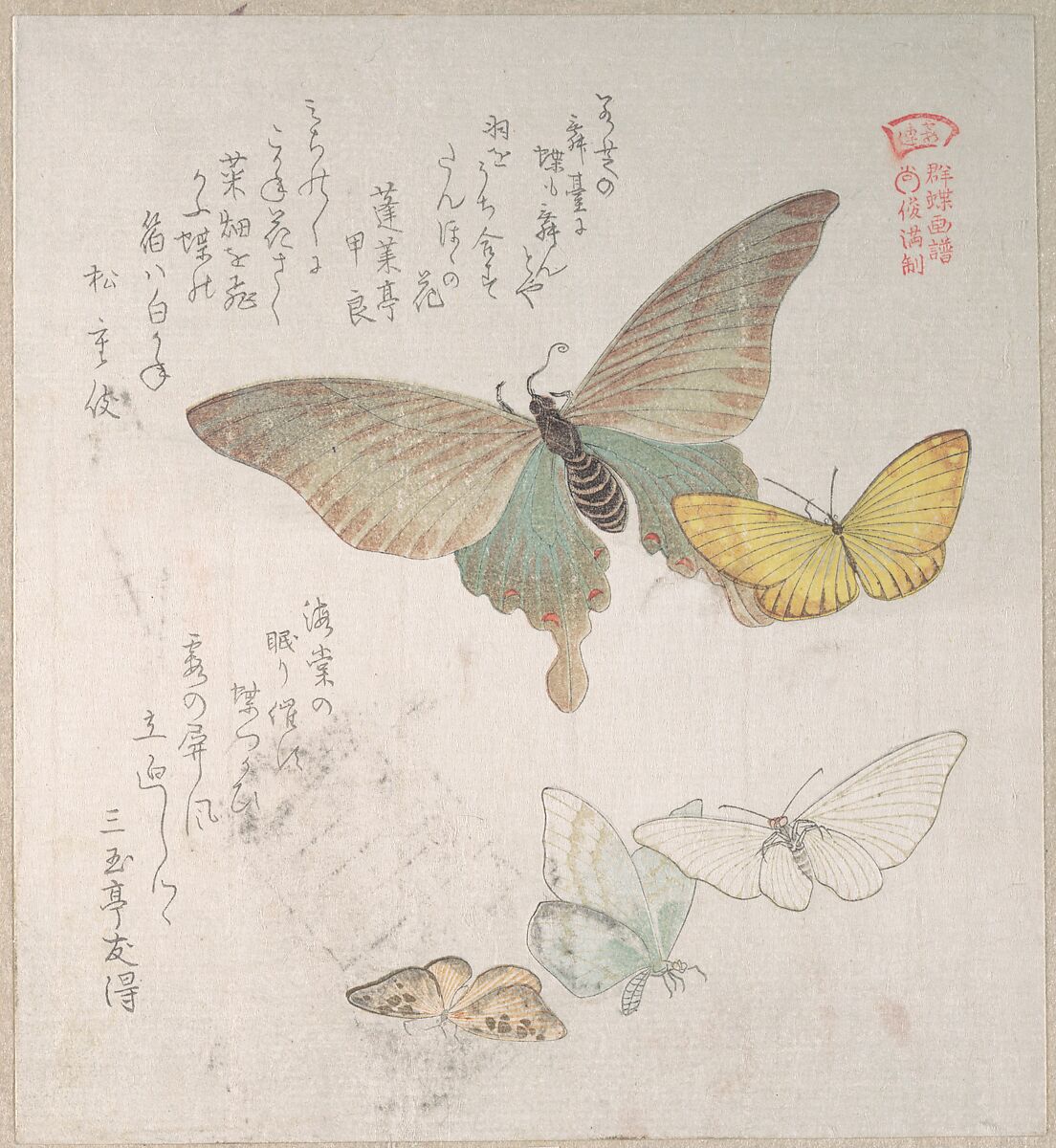 Various Moths and Butterflies, Kubo Shunman (Japanese, 1757–1820), Part of an album of woodblock prints (surimono); ink and color on paper, Japan 