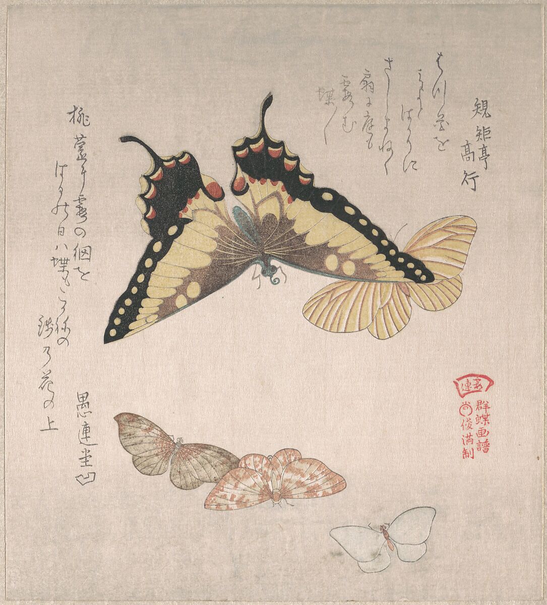 Various Moths and Butterflies, Kubo Shunman (Japanese, 1757–1820), Part of an album of woodblock prints (surimono); ink and color on paper, Japan 