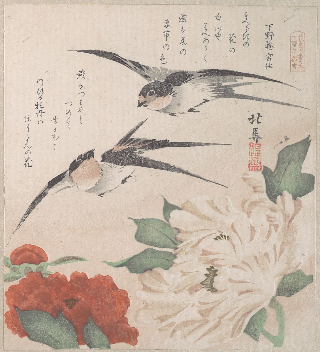 Spring Rain Collection (Harusame shū), vol. 3: Swallows and Peonies, Teisai Hokuba (Japanese, 1771–1844), Privately published woodblock prints (surimono) mounted in an album; ink and color on paper, Japan 