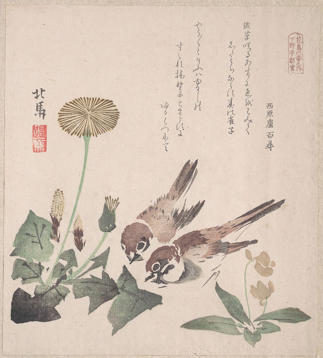 Spring Rain Collection (Harusame shū), vol. 3: Sparrows and Dandelions, Teisai Hokuba (Japanese, 1771–1844), Privately published woodblock prints (surimono) mounted in an album; ink and color on paper, Japan 