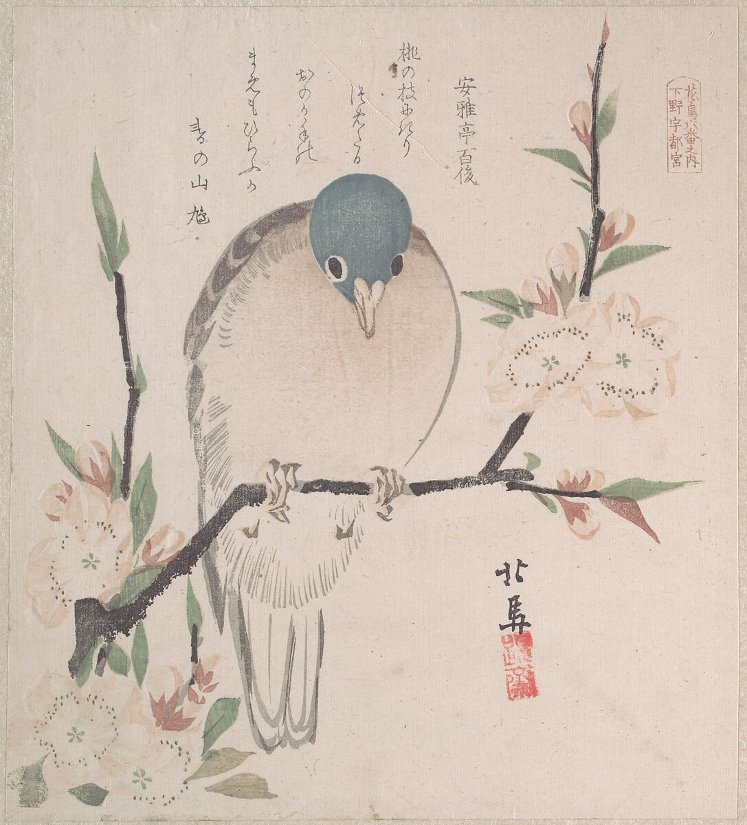 Spring Rain Collection (Harusame shū), vol. 3: Mountain Dove and Peach Flowers, Teisai Hokuba (Japanese, 1771–1844), Privately published woodblock prints (surimono) mounted in an album; ink and color on paper, Japan 
