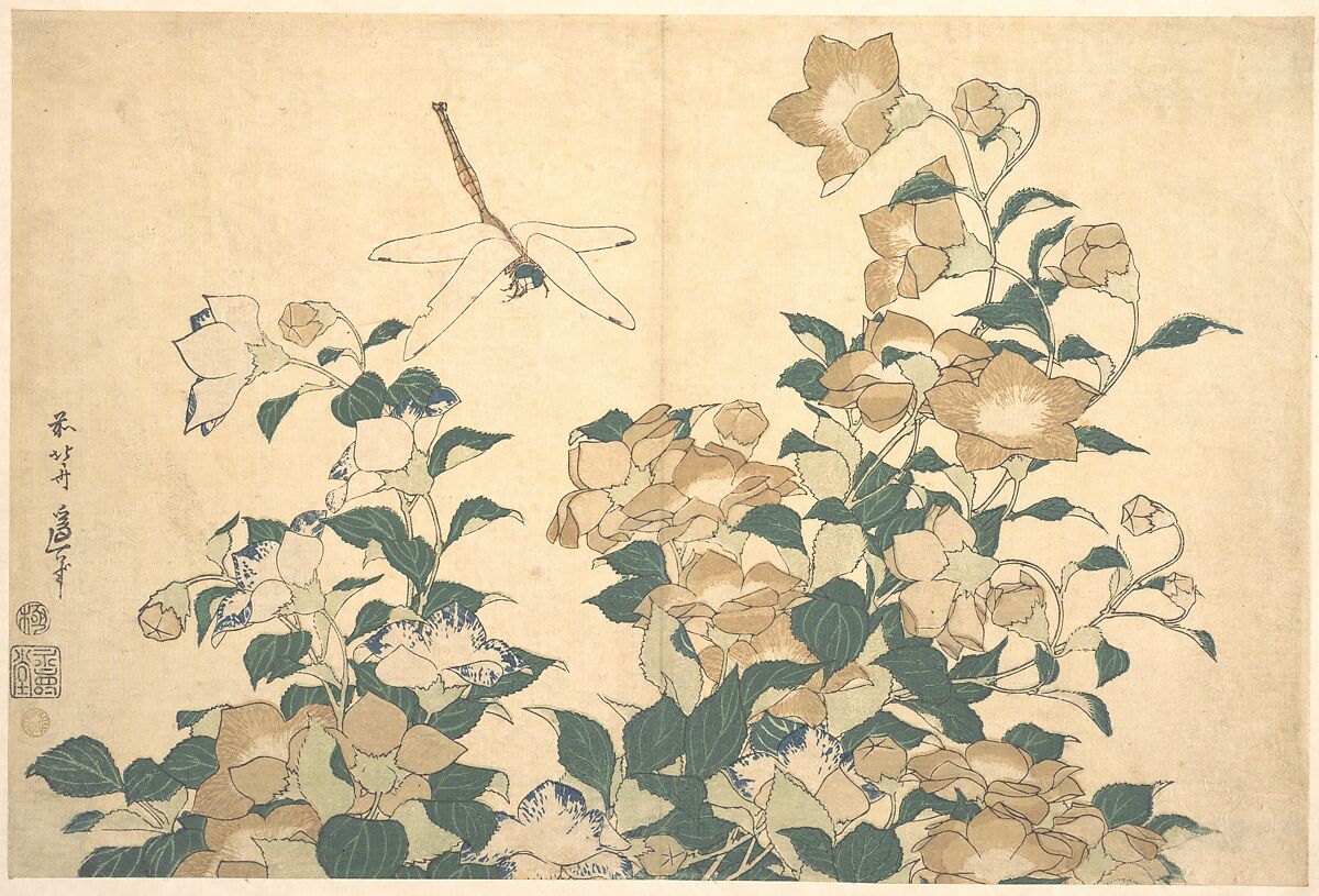 Dragonfly and Bellflower, Katsushika Hokusai (Japanese, Tokyo (Edo) 1760–1849 Tokyo (Edo)), Woodblock print (surimono); ink and color on paper, Japan 
