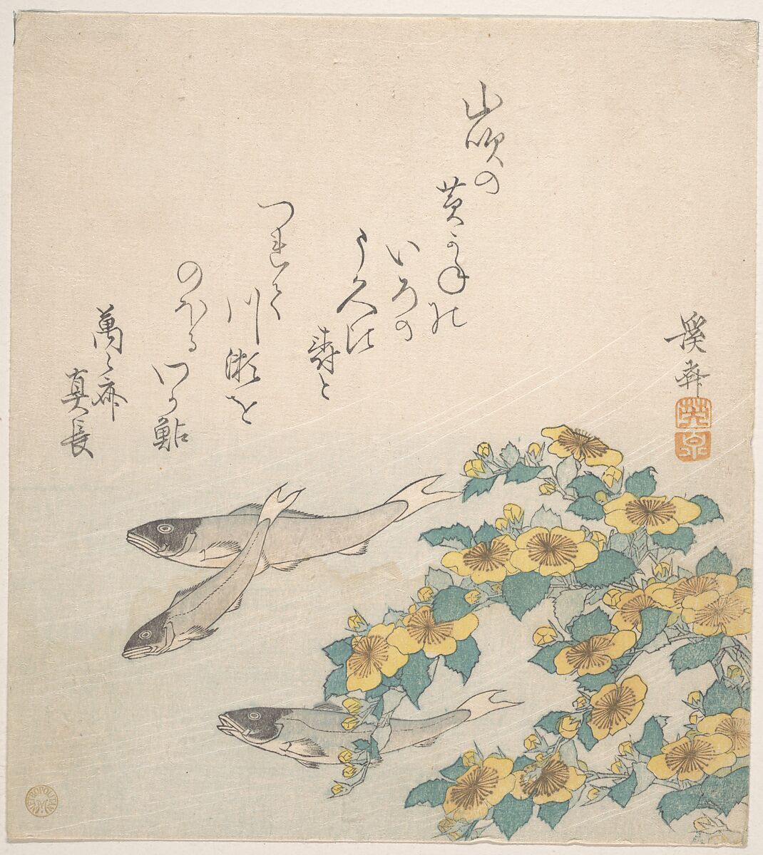 Fishes Swimming with Yellow Flowers, Keisai Eisen (Japanese, 1790–1848), Woodblock print (surimono); ink and color on paper, Japan 