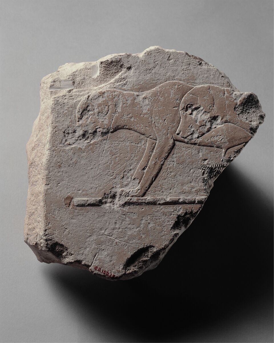 Relief fragment with two young dogs, Limestone, paint