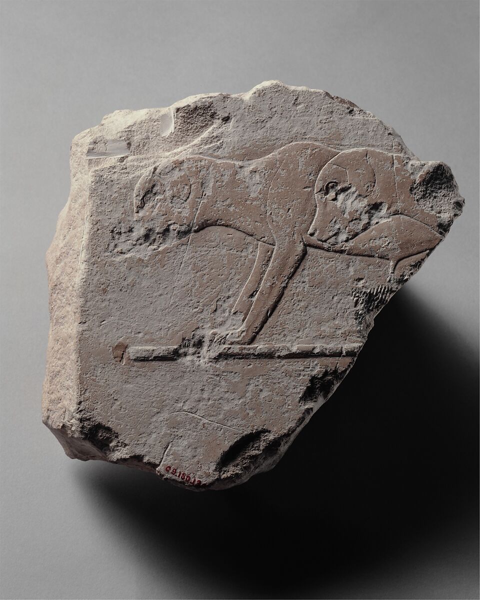 Relief fragment with two young dogs, Limestone, paint 