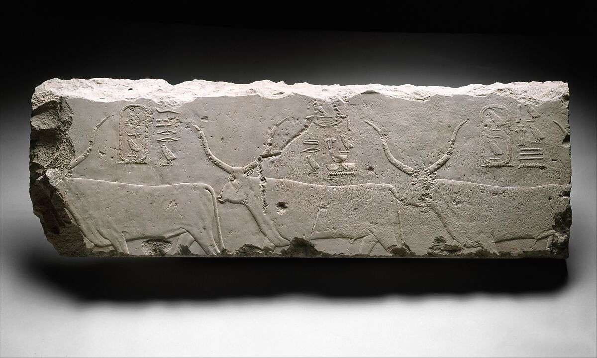 Relief fragment with king Khufu's cattle, Limestone