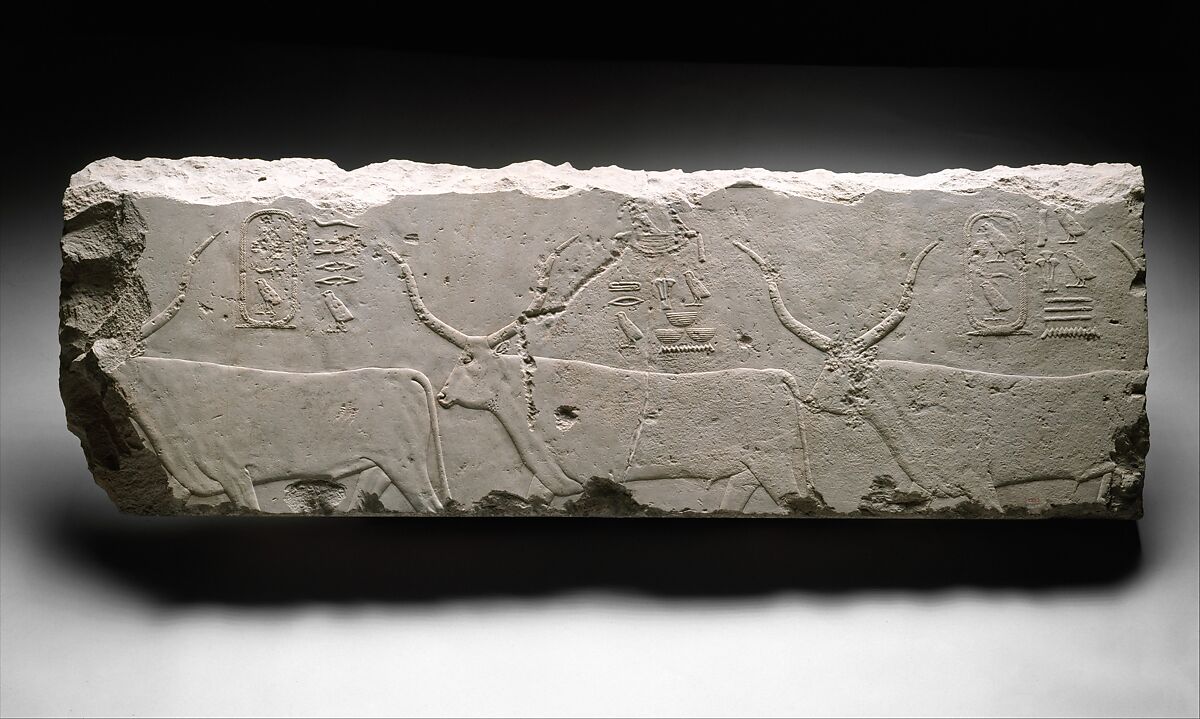 Relief fragment with king Khufu's cattle, Limestone 