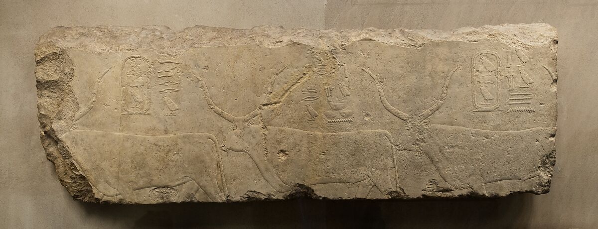 Relief fragment with king Khufu's cattle, Limestone