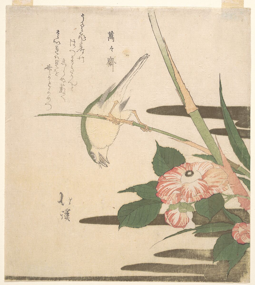 Warbler and Camellia, Totoya Hokkei (Japanese, 1780–1850), Woodblock print (surimono); ink and color on paper, Japan 