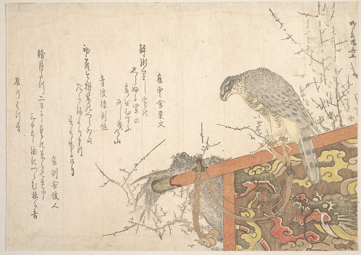 Hawk Tied to Perch, Ryūryūkyo Shinsai (Japanese, active ca. 1799–1823), Woodblock print (surimono); ink and color on paper, Japan 