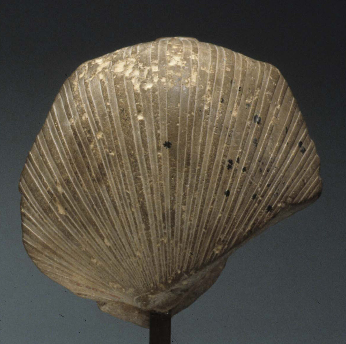 Head of a King, possibly Amememhat IV, Limestone