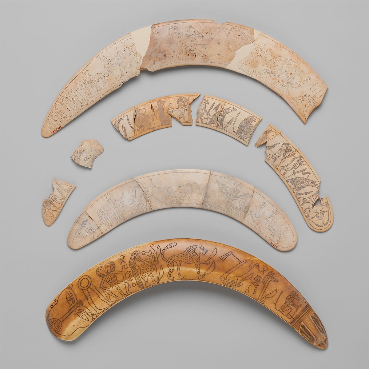 Magic wand, Ivory: Hippopotamus