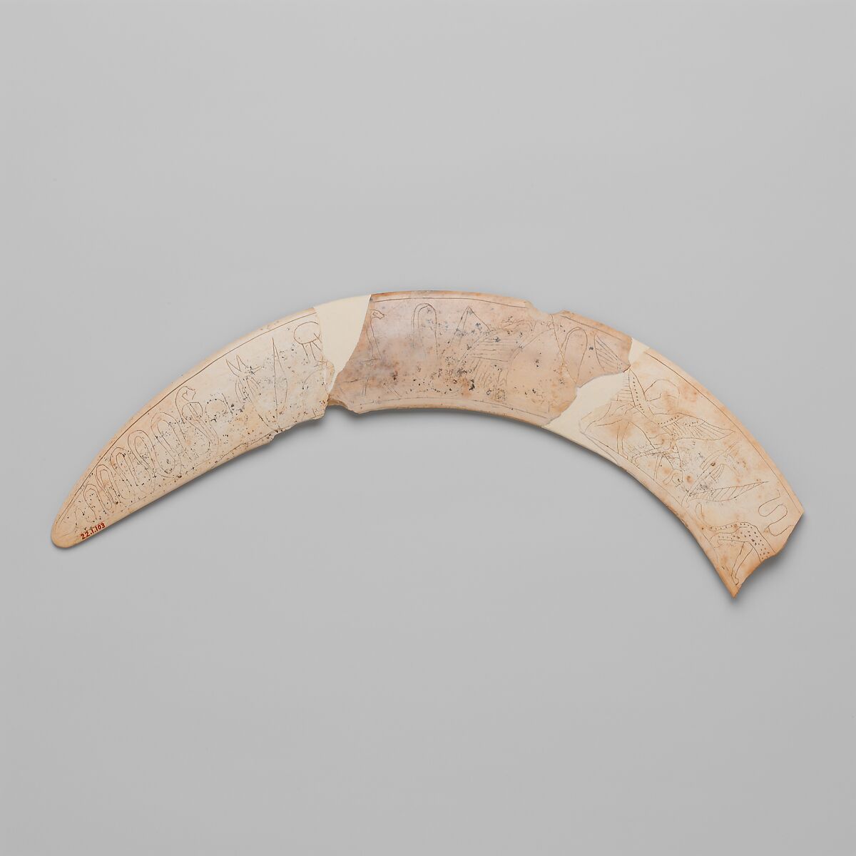 Magic wand, Hippopotamus ivory