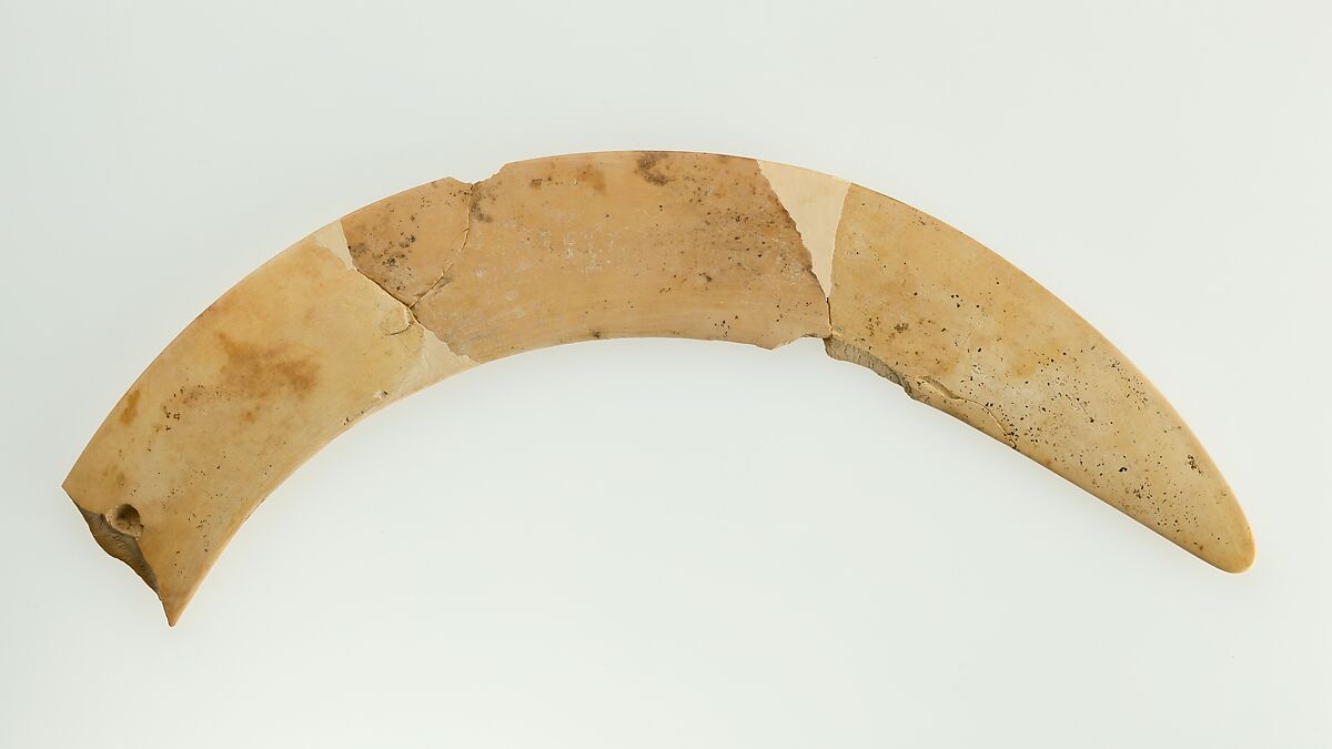 Magic wand, Hippopotamus ivory