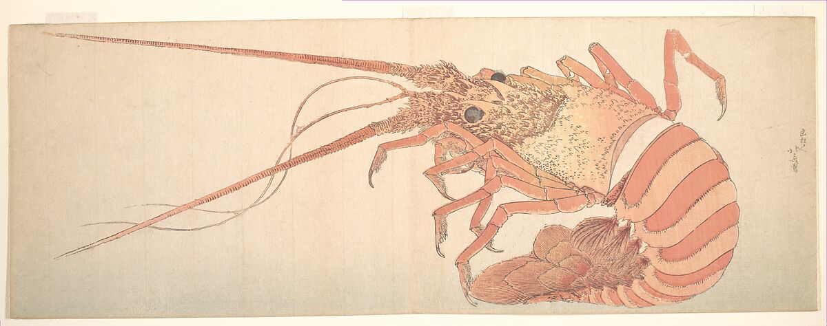 Large Lobster, Katsushika Hokusai (Japanese, Tokyo (Edo) 1760–1849 Tokyo (Edo)), Woodblock print (surimono); ink and color on paper, Japan 