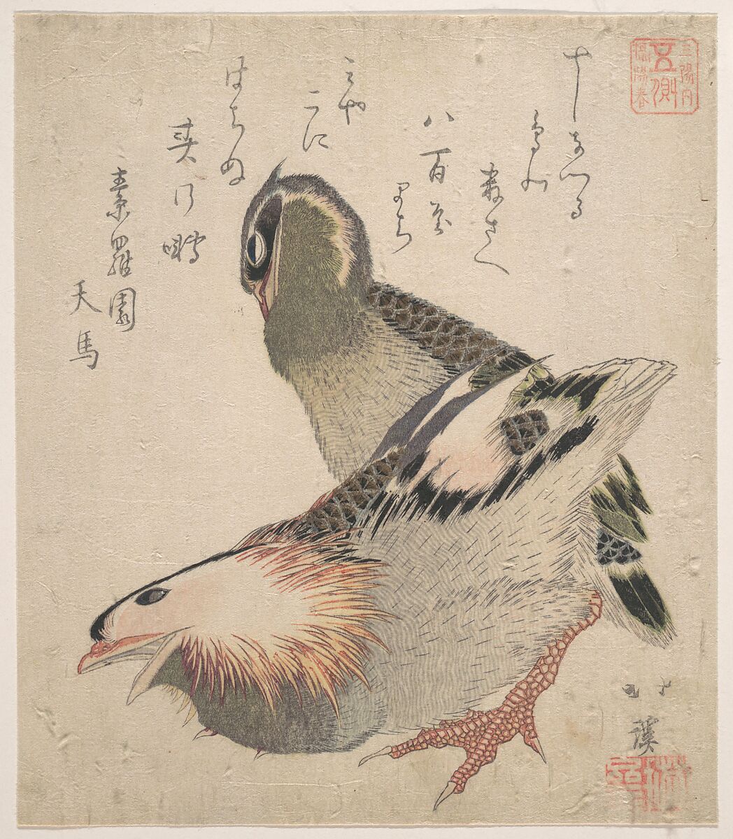 Two Birds, Totoya Hokkei (Japanese, 1780–1850), Woodblock print (surimono); ink and color on paper, Japan 