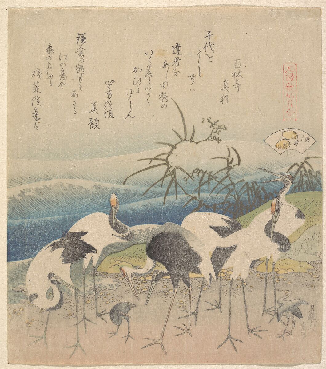Ashi Clam, from the series "Genroku Kasen Kai-awase", Katsushika Hokusai (Japanese, Tokyo (Edo) 1760–1849 Tokyo (Edo)), Woodblock print; ink and color on paper
, Japan 