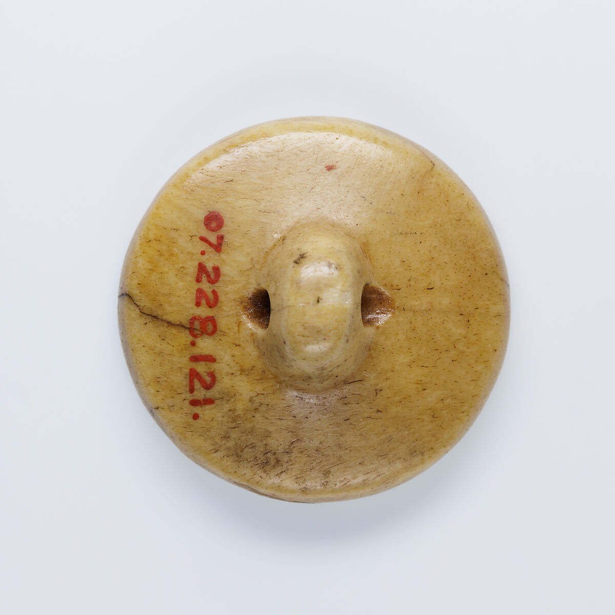 Design Amulet with Loop on Back, Device with Dancing God, Hathor Symbol and Lion, Bone