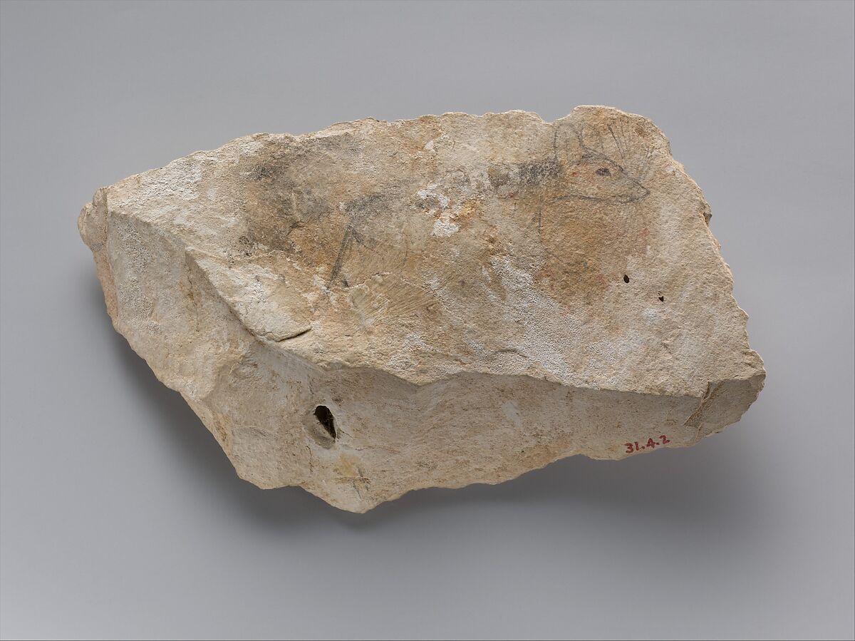 Artist's Sketches of  Senenmut, Sketch of Small Rodent on Opposite Side, Limestone, ink