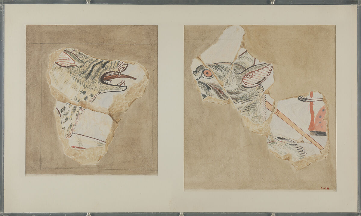 Fragments of Two Hyenas, Tomb of Intef, Nina de Garis Davies (1881–1965), Tempera on paper 