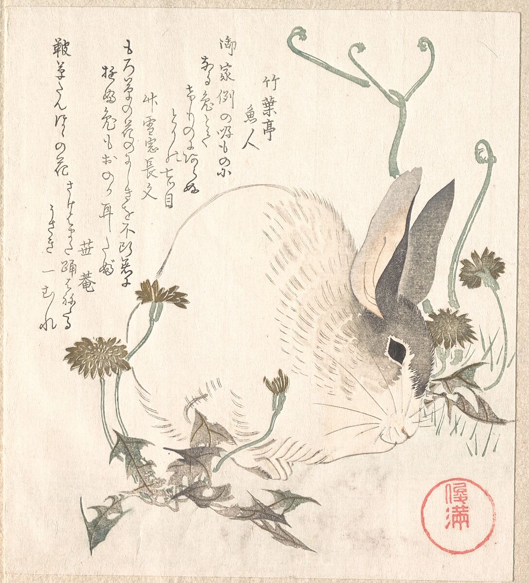 Hare and Dandelion?, Kubo Shunman (Japanese, 1757–1820), Woodblock print (surimono); ink and color on paper, Japan 
