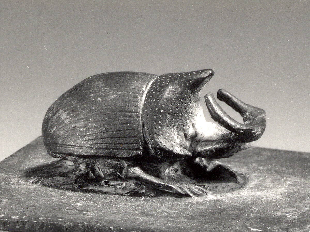 Rhinoceros beetle box, Cupreous metal
