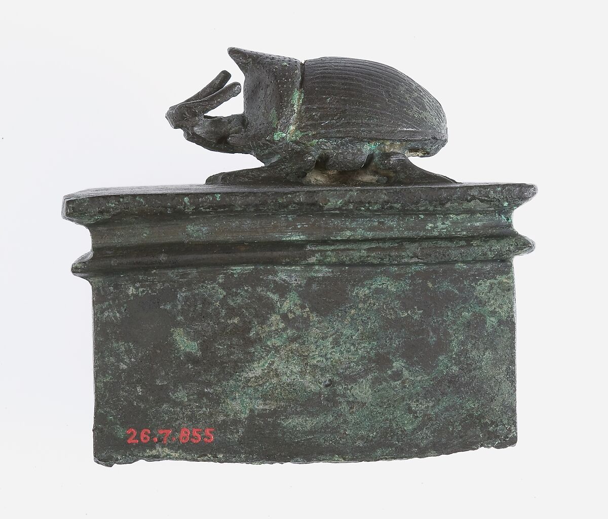 Rhinoceros beetle box, Cupreous metal