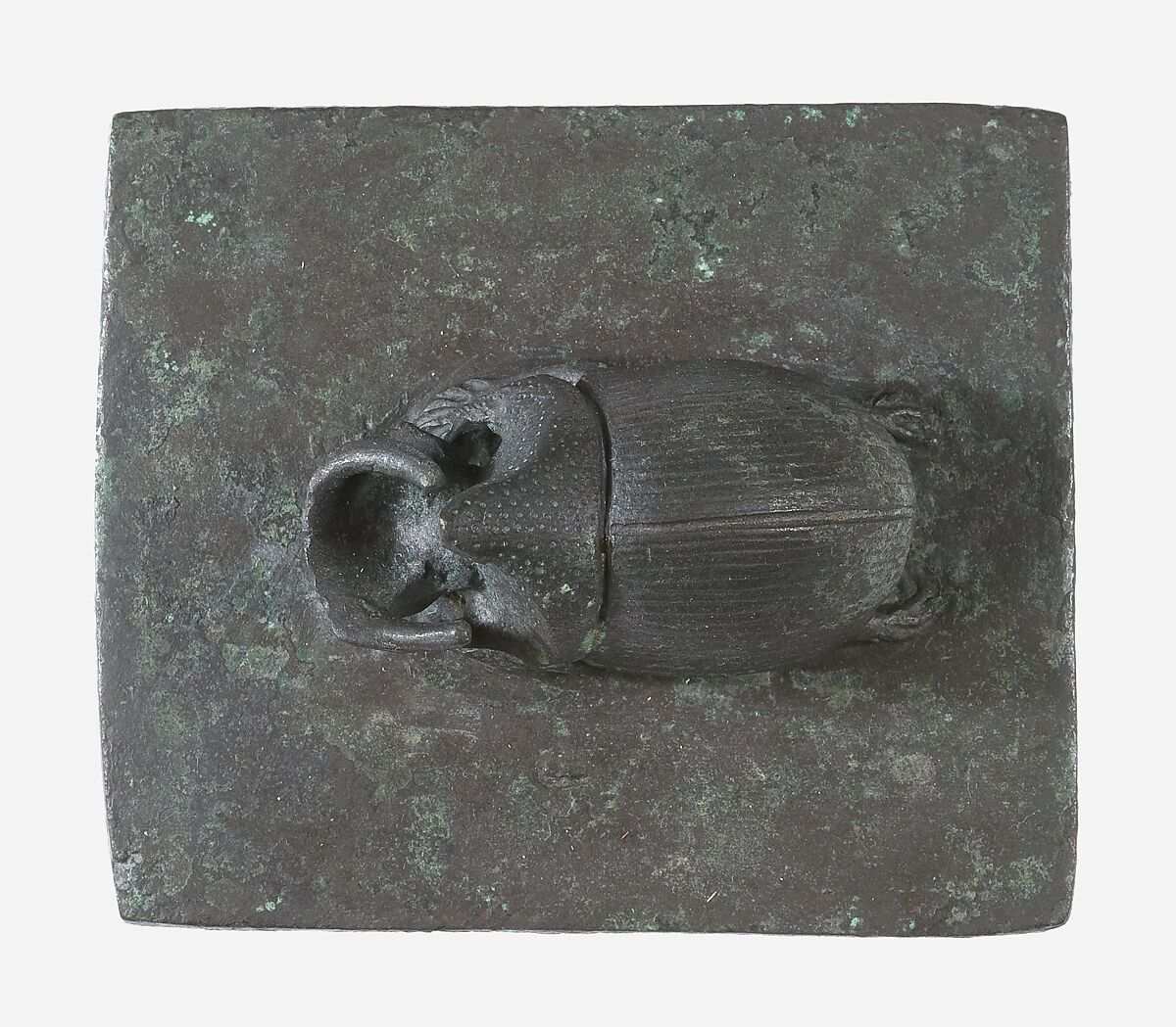 Rhinoceros beetle box, Cupreous metal