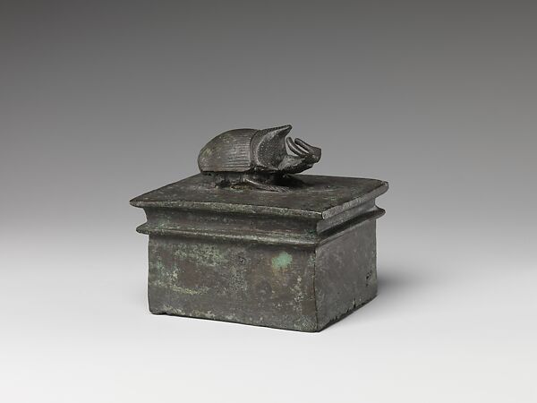 Rhinoceros beetle box