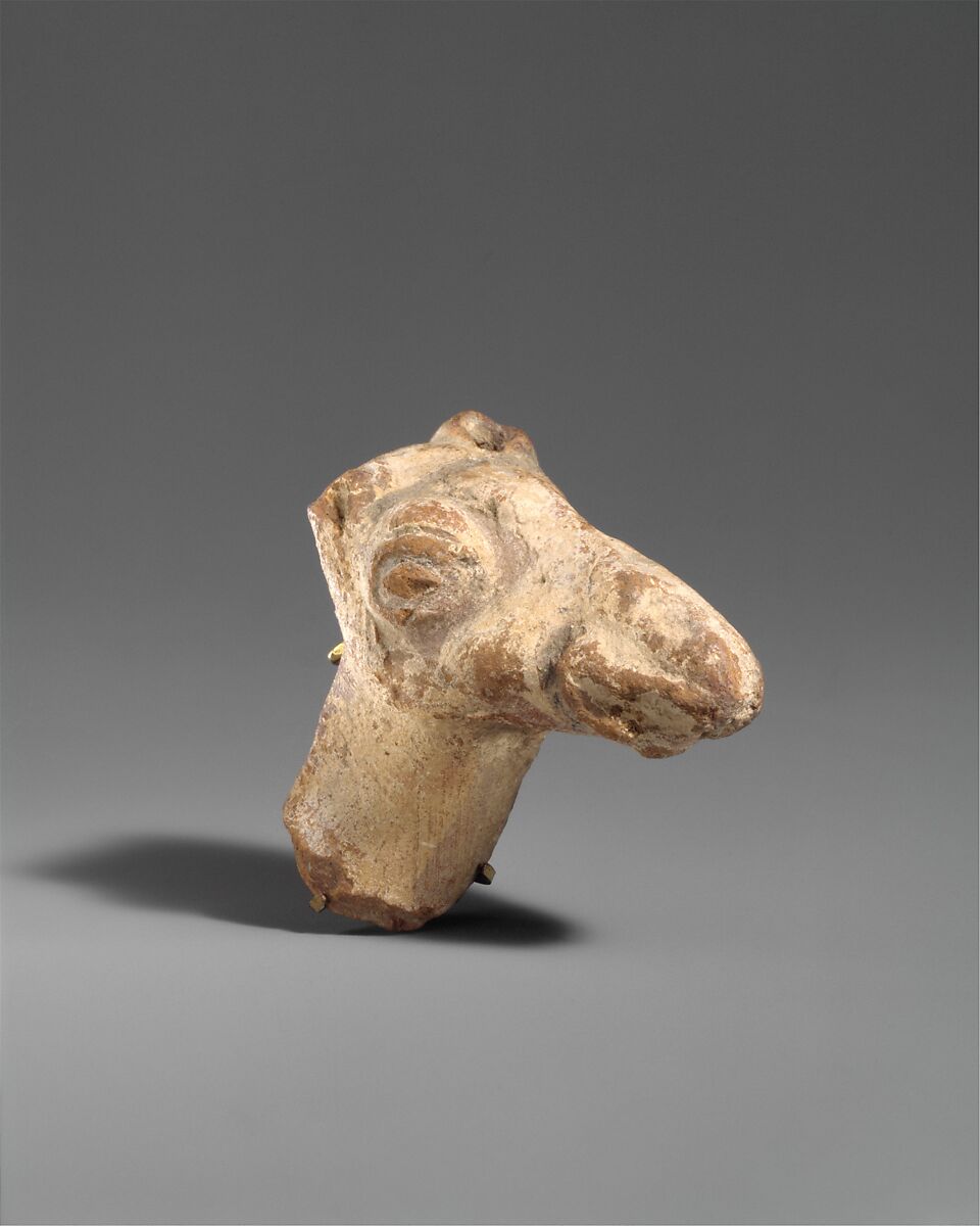 Head from the figure of a camel, Terracotta, white slip