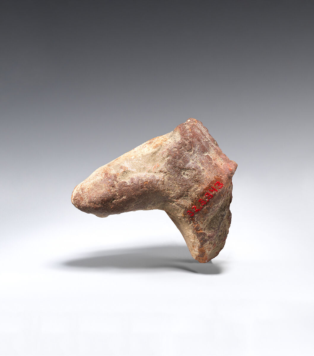Head from the figure of a camel, Terracotta, white slip
