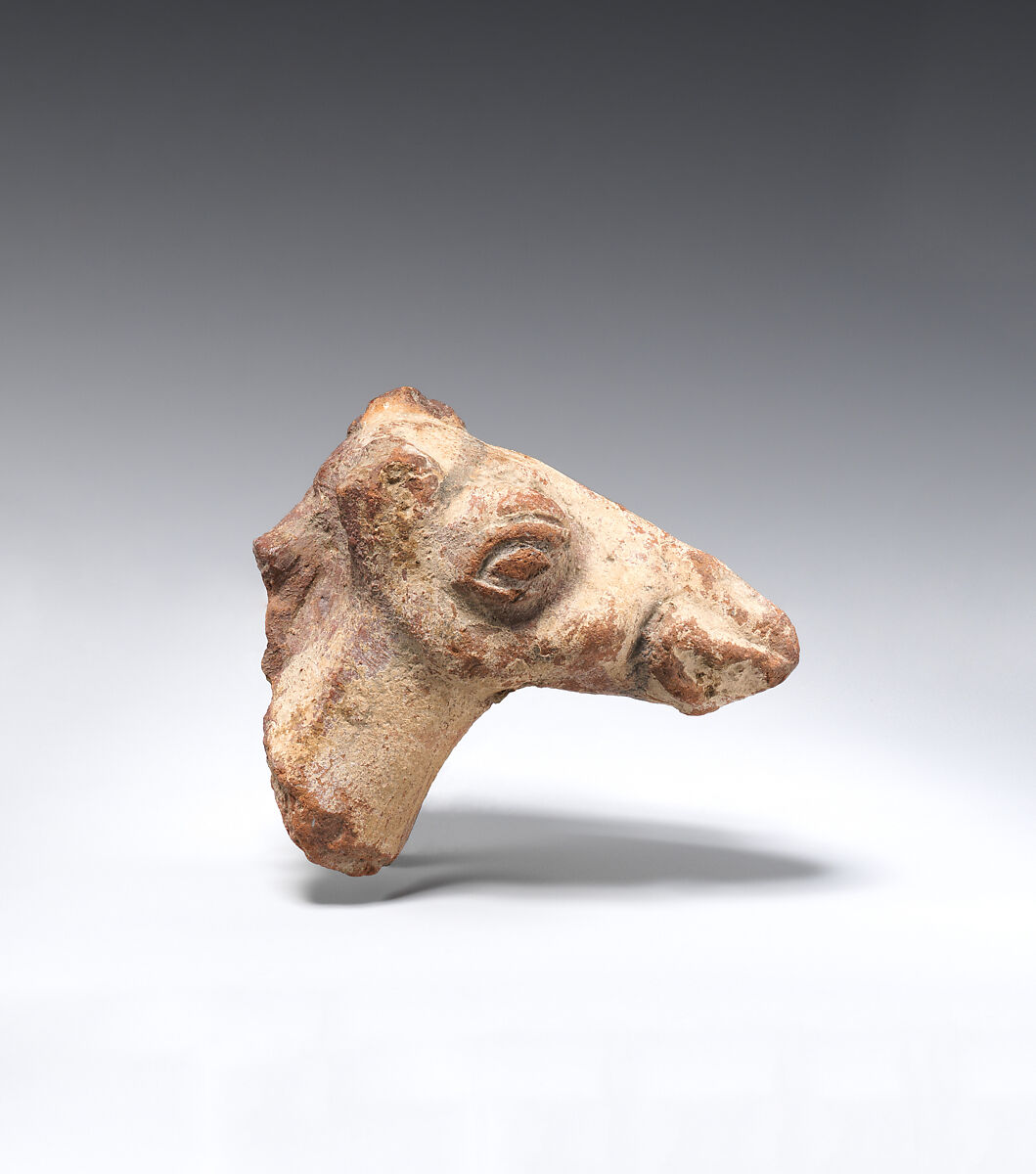 Head from the figure of a camel, Terracotta, white slip