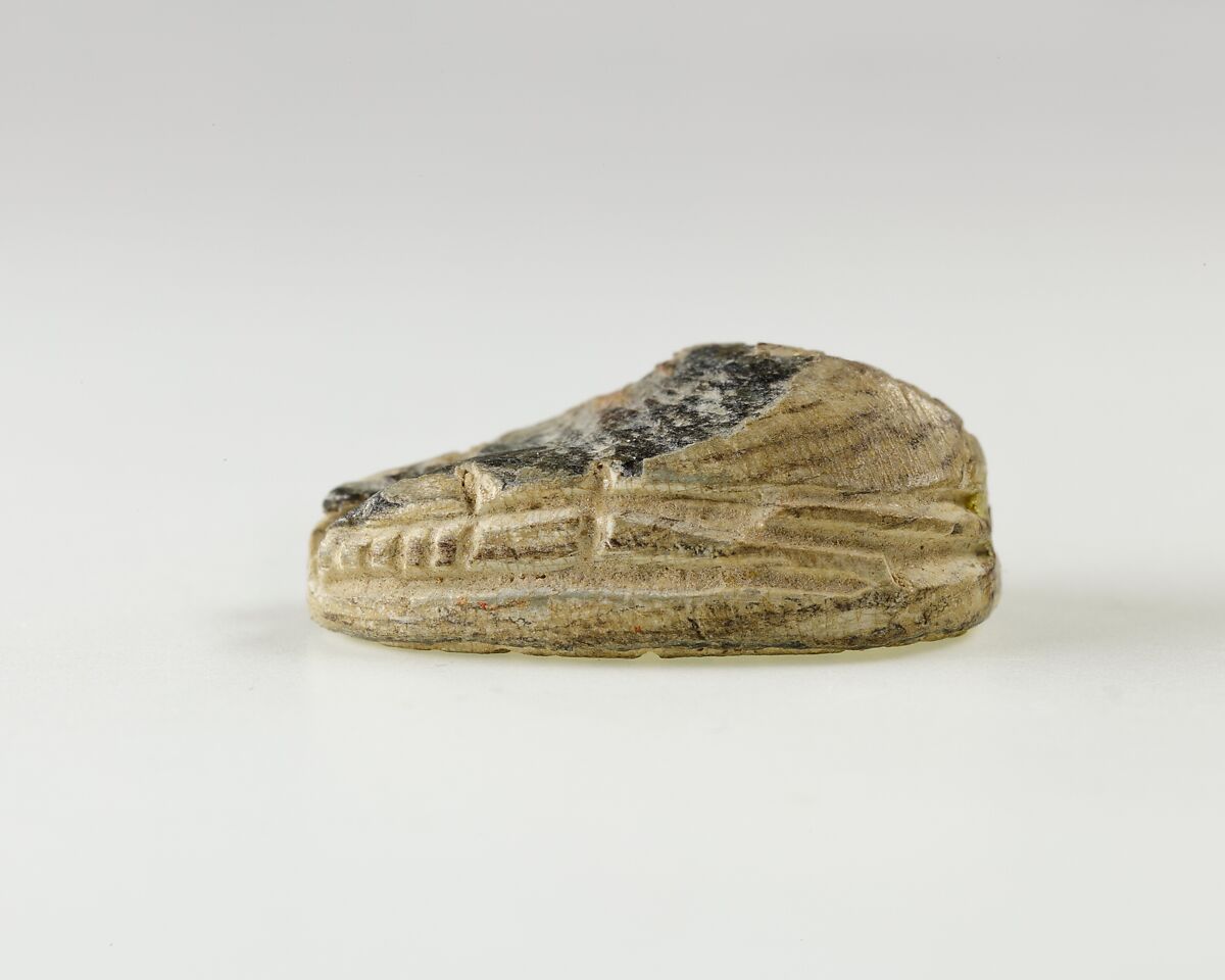 Scarab of an Official, Steatite